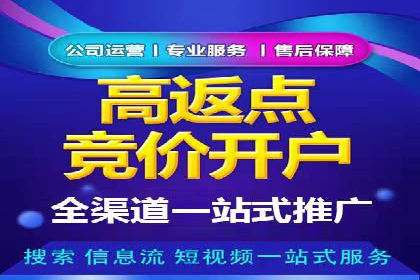 案例解析：SEM托管助力电商销售增长
